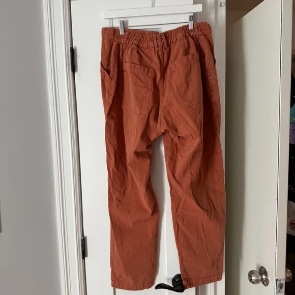 Big Bud Press Work Pants in terracotta - Picture 3 of 6